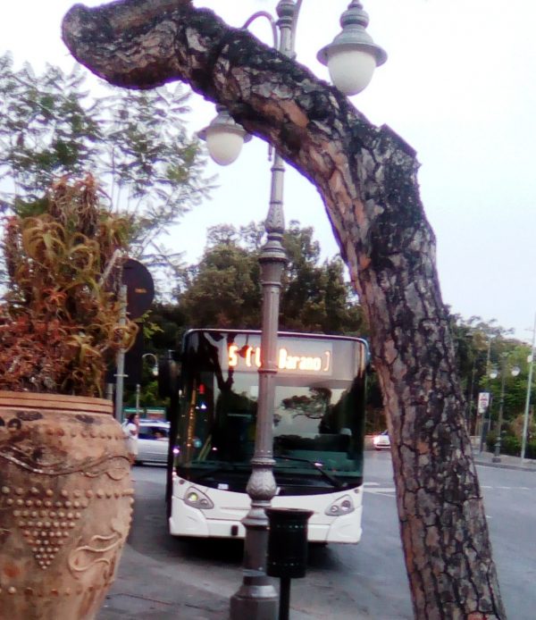 Ischia BUS guasto