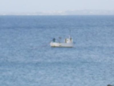 Bracconiere marino 18 Marzo 2017 (4) comp