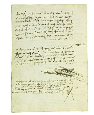 Codice del volo degli uccelli di Leonardo