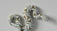 Serpenti Form mostra Museo di Roma Palazzo Braschi