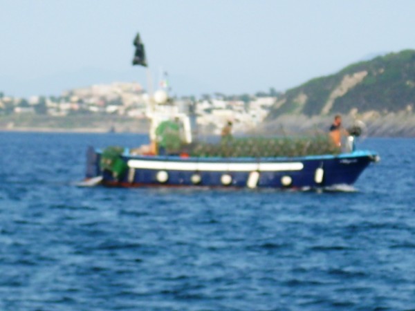 Bracconiere marino barca blu 16 Aprile 2016 (1)