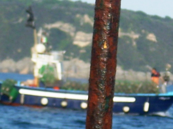 Bracconiere marino barca blu 16 Aprile 2016 (2)
