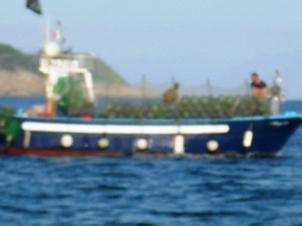 Bracconiere marino barca blu 16 Aprile 2016 (3)