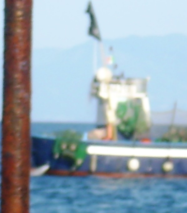 Bracconiere marino barca blu 16 Aprile 2016 (4)