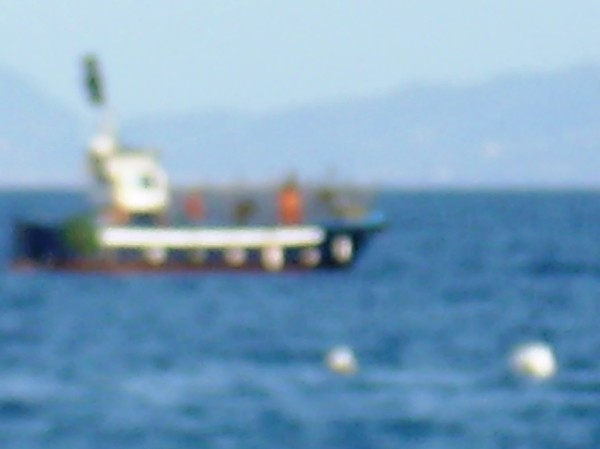 Bracconiere marino barca blu 16 Aprile 2016 (5)