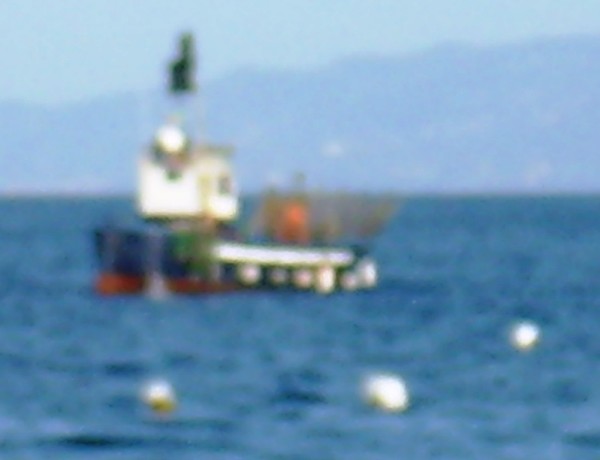 Bracconiere marino barca blu 16 Aprile 2016 (6)