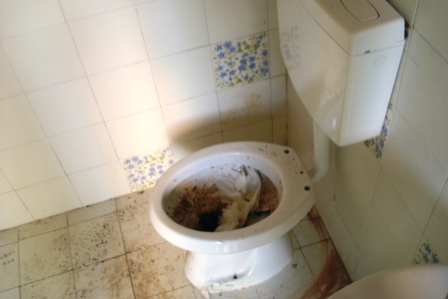 scempi cessi pineta piazzetta (10)
