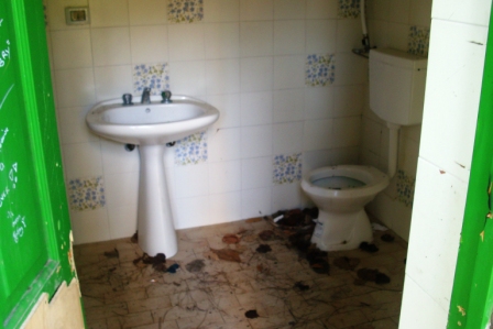 scempi cessi pineta piazzetta (13)