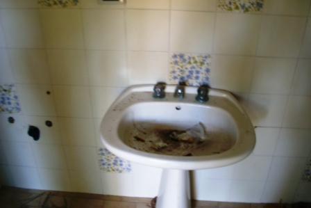 scempi cessi pineta piazzetta (15)