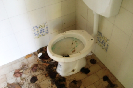 scempi cessi pineta piazzetta (16)