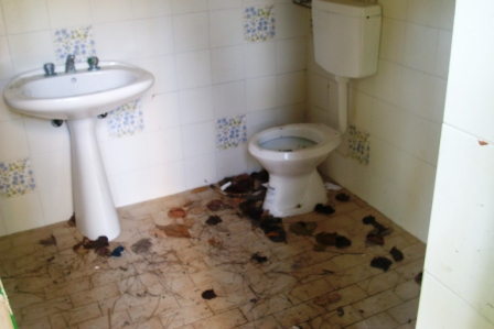 scempi cessi pineta piazzetta (17)
