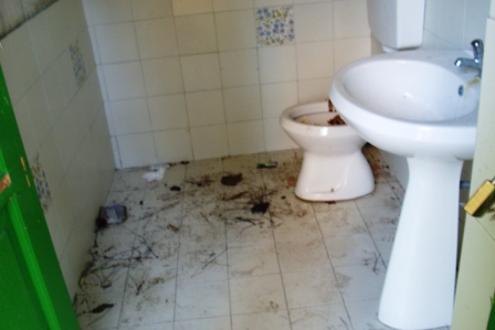scempi cessi pineta piazzetta (4)