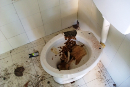 scempi cessi pineta piazzetta (5)